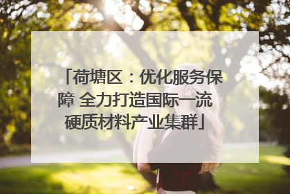 荷塘区：优化服务保障 全力打造国际一流硬质材料产业集群