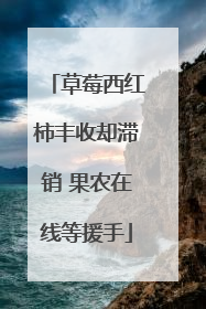 草莓西红柿丰收却滞销 果农在线等援手