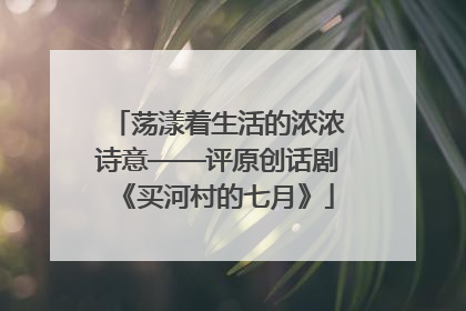 荡漾着生活的浓浓诗意——评原创话剧《买河村的七月》