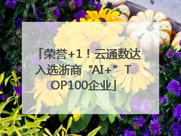 荣誉+1！云通数达入选浙商“AI+”TOP100企业