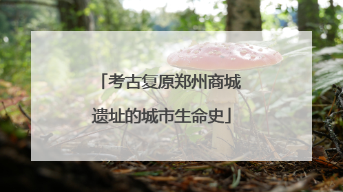 考古复原郑州商城遗址的城市生命史