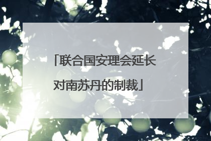联合国安理会延长对南苏丹的制裁