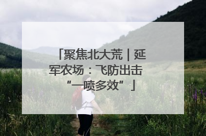 聚焦北大荒｜延军农场：飞防出击 “一喷多效”