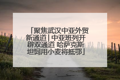 聚焦武汉中亚外贸新通道│中亚班列开辟双通道 哈萨克斯坦饲用小麦将抵鄂