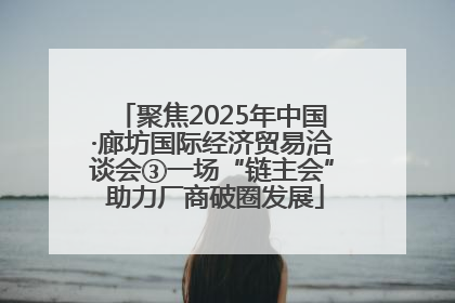 聚焦2025年中国·廊坊国际经济贸易洽谈会③一场“链主会” 助力厂商破圈发展