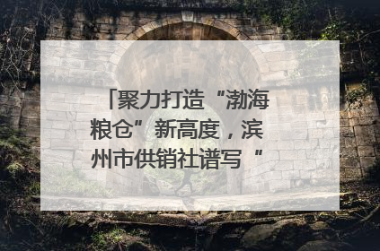 聚力打造“渤海粮仓”新高度，滨州市供销社谱写“三夏”丰收乐章