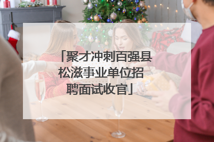 聚才冲刺百强县 松滋事业单位招聘面试收官