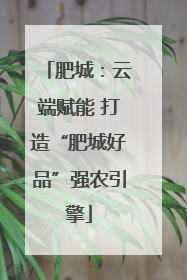 肥城：云端赋能 打造“肥城好品”强农引擎