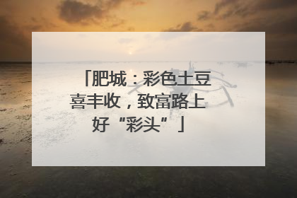 肥城：彩色土豆喜丰收，致富路上好“彩头”