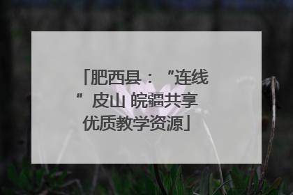 肥西县：“连线”皮山 皖疆共享优质教学资源
