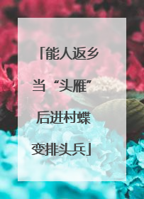 能人返乡当“头雁” 后进村蝶变排头兵