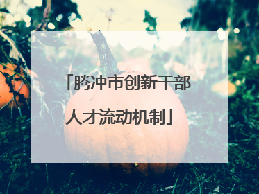 腾冲市创新干部人才流动机制