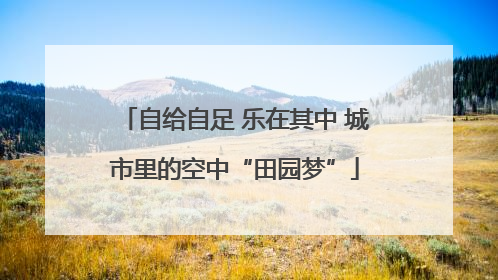 自给自足 乐在其中 城市里的空中“田园梦”