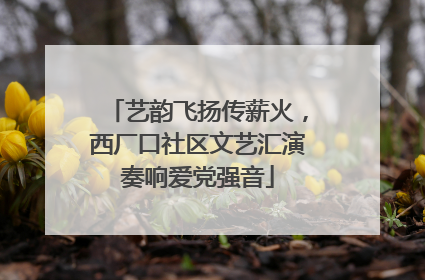艺韵飞扬传薪火，西厂口社区文艺汇演奏响爱党强音
