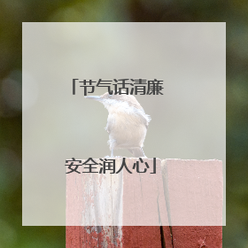 节气话清廉 安全润人心