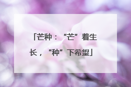 芒种：“芒”着生长，“种”下希望