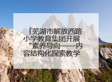 芜湖市解放西路小学教育集团开展“素养导向——内容结构化探索教学实践”数学专题研讨活动
