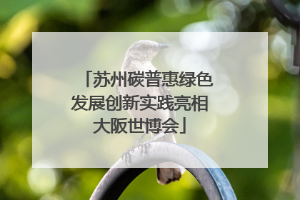 苏州碳普惠绿色发展创新实践亮相大阪世博会