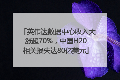 英伟达数据中心收入大涨超70%，中国H20相关损失达80亿美元