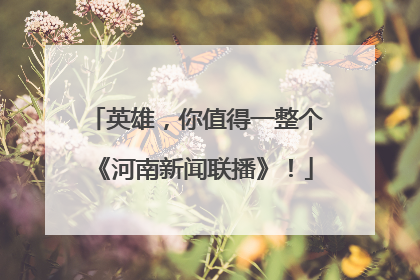 英雄，你值得一整个《河南新闻联播》！