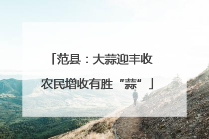 范县：大蒜迎丰收 农民增收有胜“蒜”