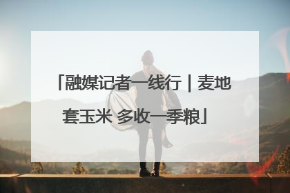 融媒记者一线行｜麦地套玉米 多收一季粮