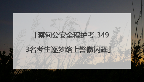 蔡甸公安全程护考 3493名考生逐梦路上警徽闪耀