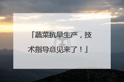蔬菜抗旱生产，技术指导意见来了！