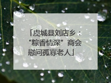 虞城县刘店乡：“粽香情深”商会慰问孤寡老人
