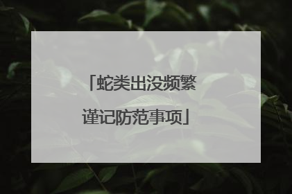 蛇类出没频繁 谨记防范事项