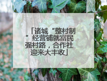 诸城“整村制”经营铺就富民强村路，合作社迎来大丰收