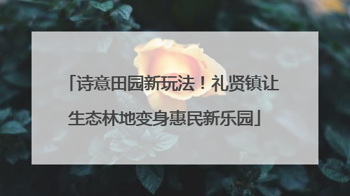 诗意田园新玩法！礼贤镇让生态林地变身惠民新乐园