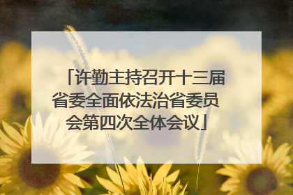 许勤主持召开十三届省委全面依法治省委员会第四次全体会议