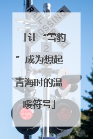 让“雪豹”成为想起青海时的温暖符号