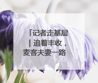 记者走基层｜追着丰收，麦客夫妻一路向北