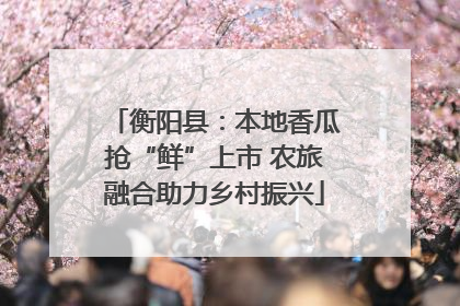 衡阳县：本地香瓜抢“鲜”上市 农旅融合助力乡村振兴