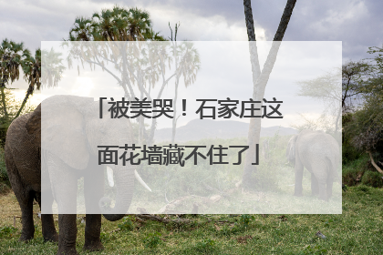 被美哭！石家庄这面花墙藏不住了