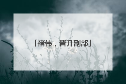 褚伟，晋升副部