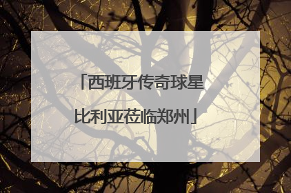 西班牙传奇球星 比利亚莅临郑州