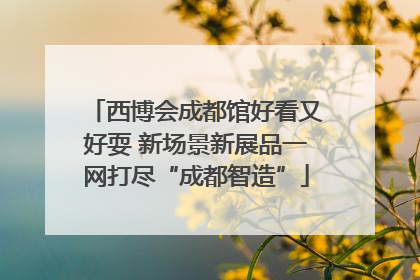 西博会成都馆好看又好耍 新场景新展品一网打尽“成都智造”