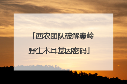 西农团队破解秦岭野生木耳基因密码