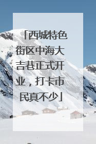 西城特色街区中海大吉巷正式开业，打卡市民真不少