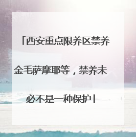 西安重点限养区禁养金毛萨摩耶等，禁养未必不是一种保护