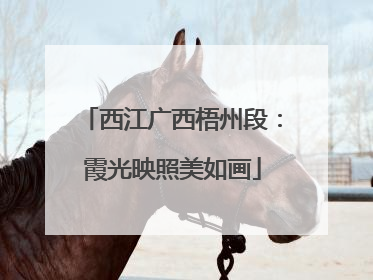 西江广西梧州段：霞光映照美如画