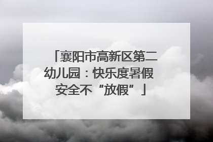 襄阳市高新区第二幼儿园：快乐度暑假 安全不“放假”