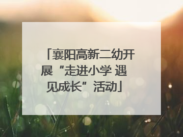 襄阳高新二幼开展“走进小学 遇见成长”活动