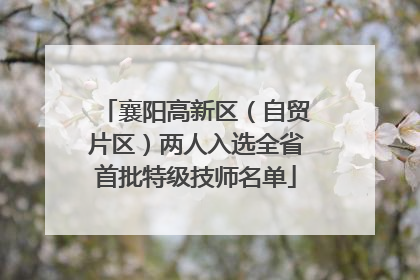 襄阳高新区（自贸片区）两人入选全省首批特级技师名单