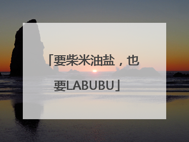 要柴米油盐，也要LABUBU