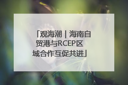 观海潮｜海南自贸港与RCEP区域合作互促共进