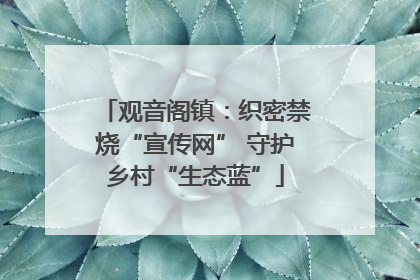 观音阁镇：织密禁烧“宣传网” 守护乡村“生态蓝”